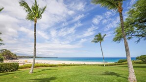 Une zone herbeuse avec des palmiers et une plage en arrière-plan.