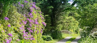Ynys Hideout -  a dog that sleeps 2 guests  in 1 bedroom