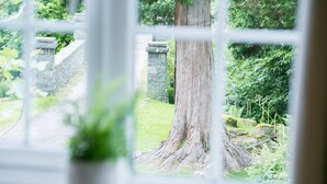 Une vue à travers une fenêtre, avec un mur de pierre et le tronc d’un arbre visibles.