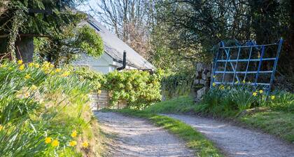 Easter Cabin -  a remote that sleeps 4 guests  in 2 bedrooms