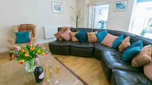 TV, fireplace, DVD player