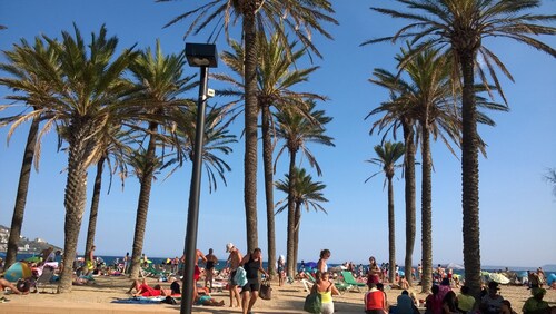 Charming house 15mn walk from the beach, quiet area,