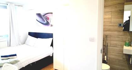 Lovely and Spacious House in South London