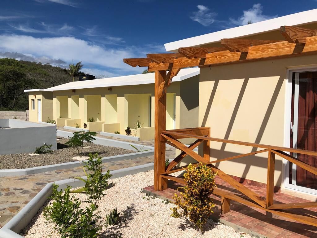 A modern building with a wooden pergola and a small garden area with plants and gravel.