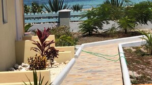 A pathway leading to a beach with a view of the ocean. There are plants and a fence along the path. - Punta Rucia Cristal Beach (Villa Isabela)