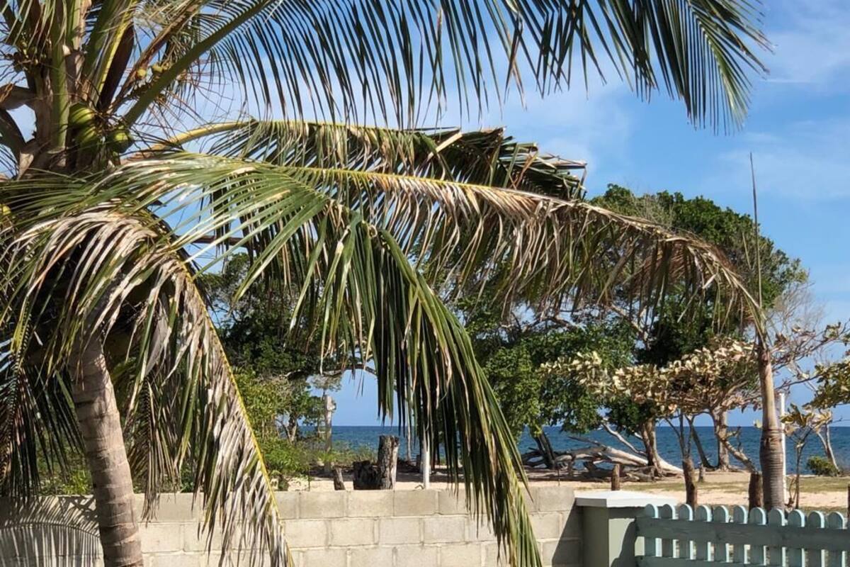 Paisaje costero con palmeras, una playa y cielo despejado.