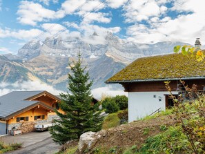 Un chalet de montagne avec une façade en bois et un toit en pente, entouré d’une végétation luxuriante et dominé par des sommets enneigés.