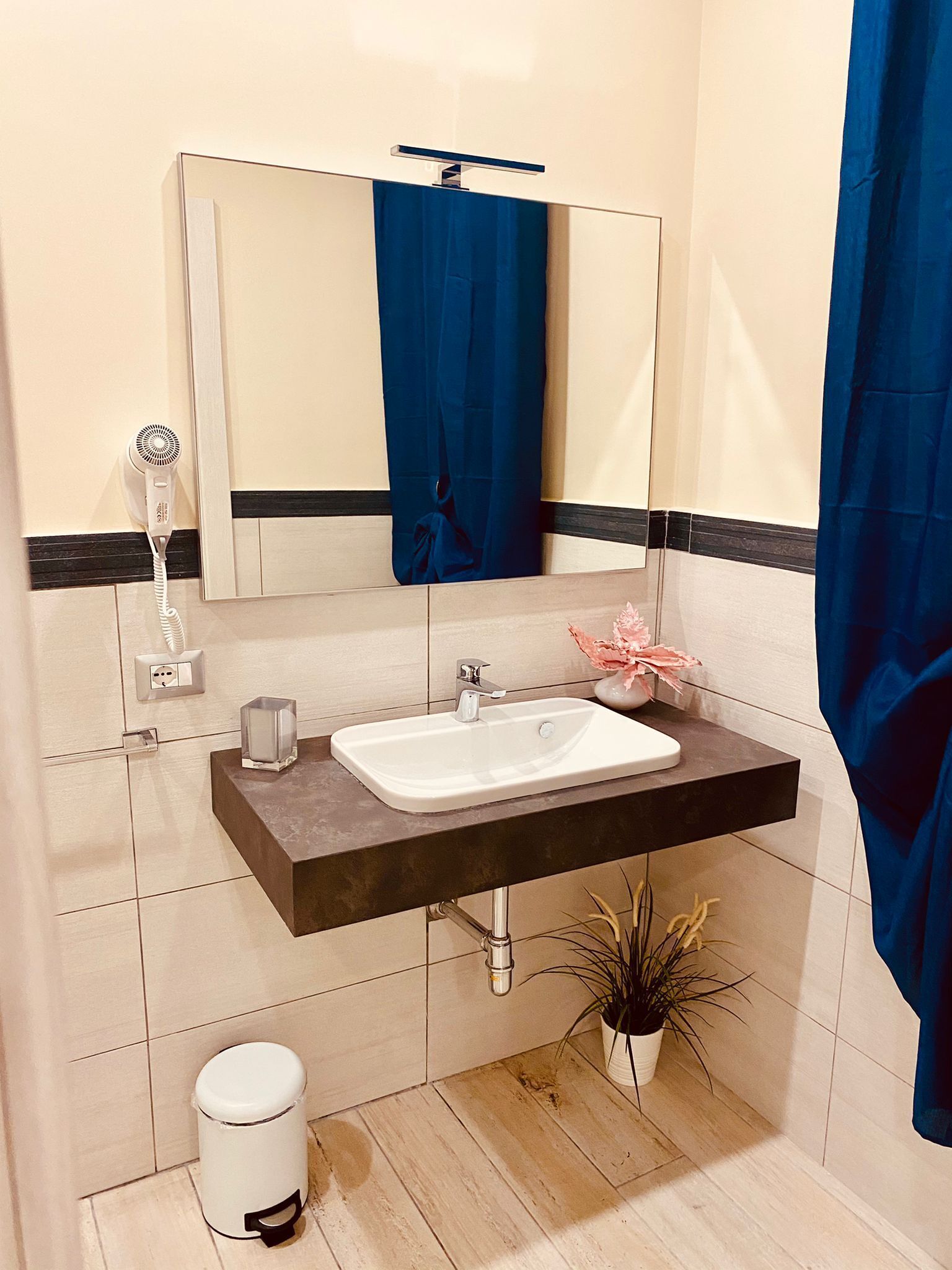 A bathroom with a white sink, a mirror, a towel rack, a hairdryer, a trash bin, and a potted plant.
