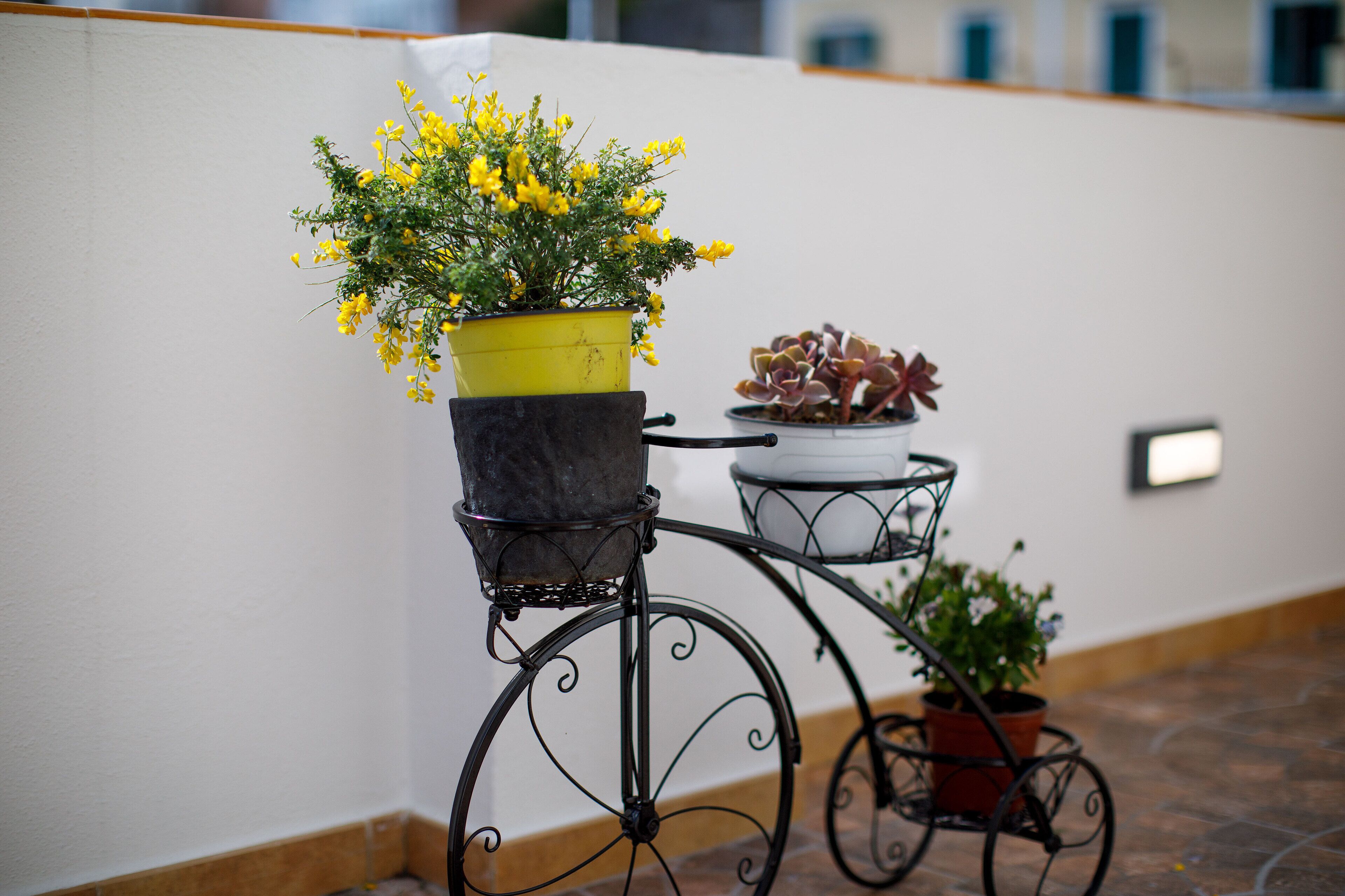 Foto - YourHome - Relais Il Sogno di Positano