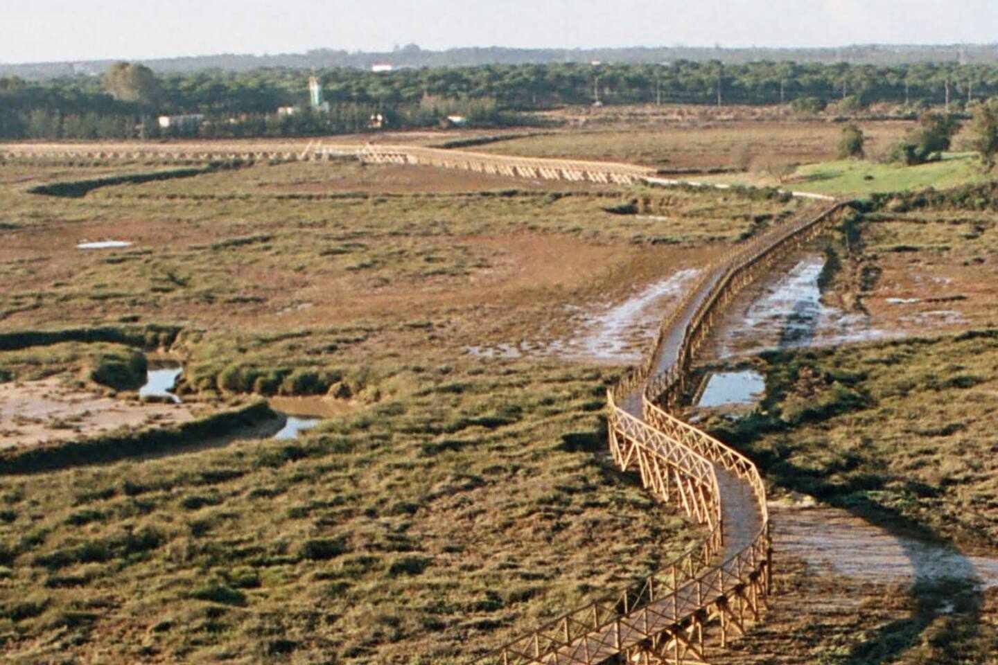 Un puente largo y estrecho con estructura metálica, que atraviesa una zona húmeda con vegetación escasa y pequeñas masas de agua.