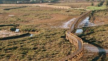 Un puente largo y estrecho con estructura metálica, que atraviesa una zona húmeda con vegetación escasa y pequeñas masas de agua.