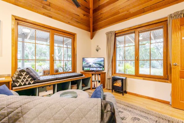 TV connectée, cheminée, livres