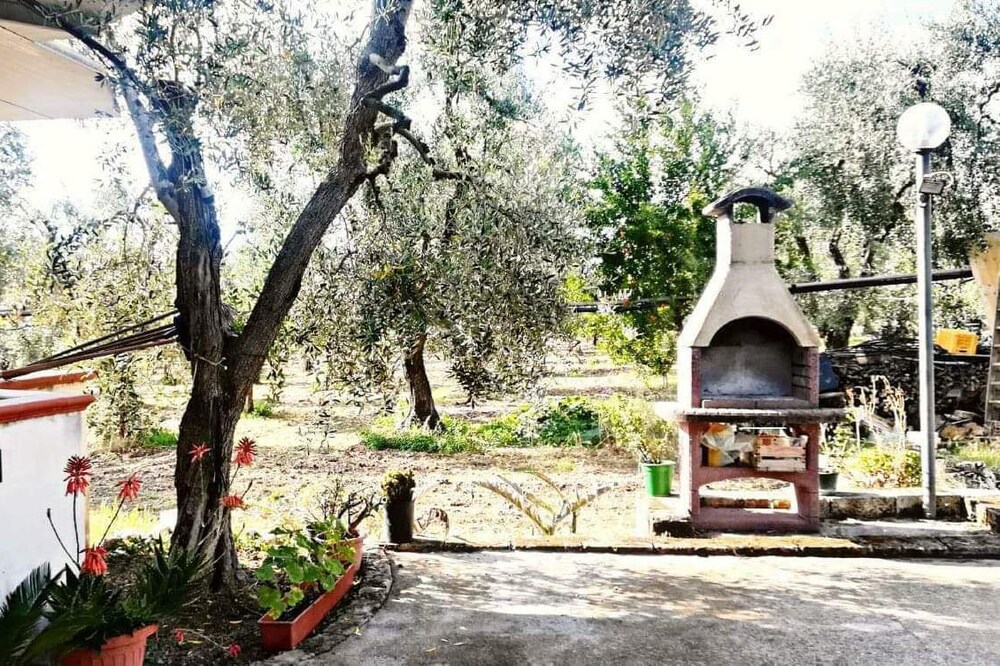 Villetta immersa nell'uliveto di famiglia