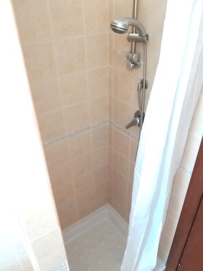 Combined shower/tub, hair dryer, bidet, toilet paper
