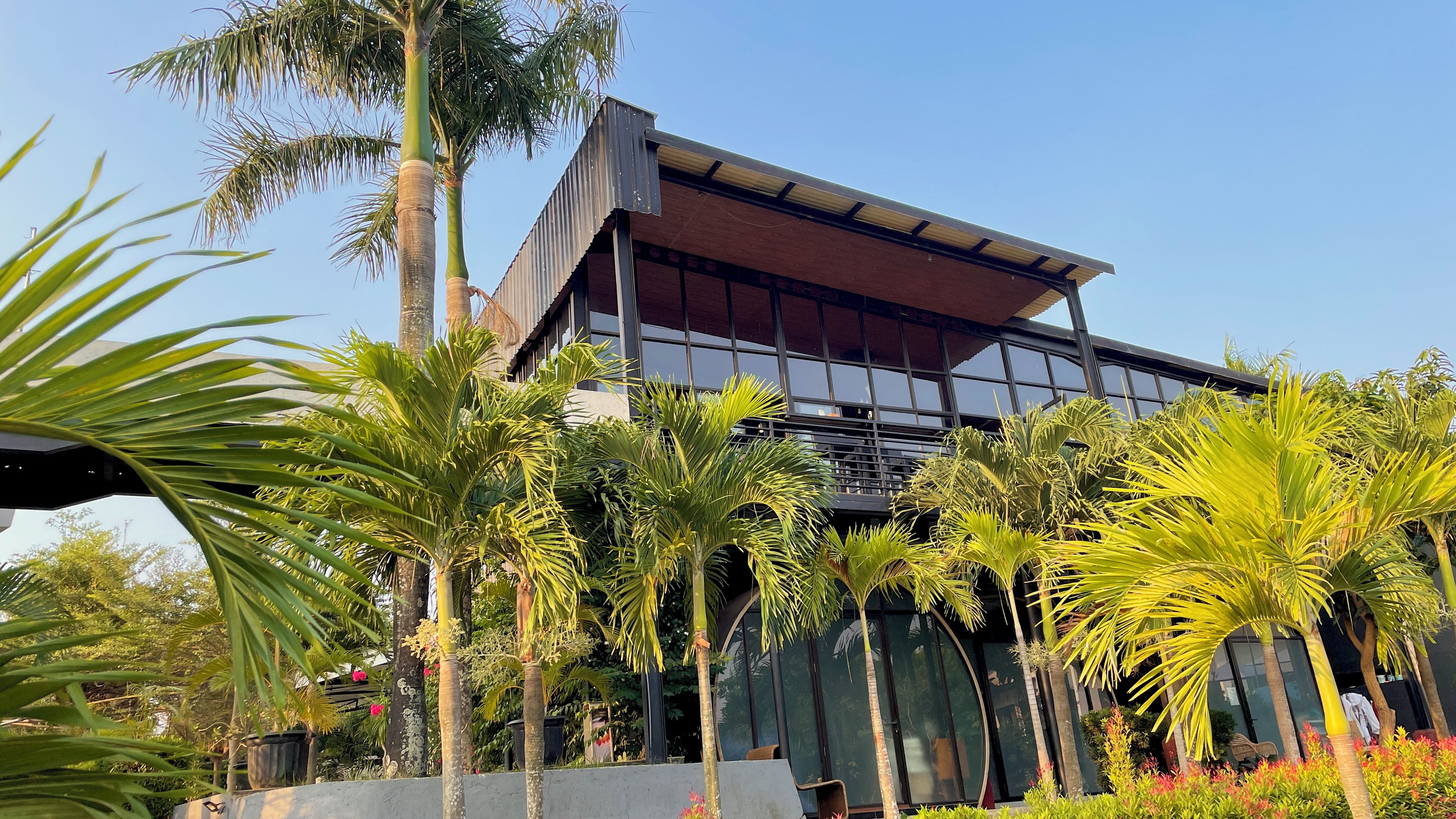 A modern building with a flat roof, large windows, and a surrounding garden with palm trees.