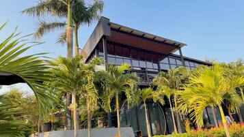 A modern building with a flat roof, large windows, and a surrounding garden with palm trees.