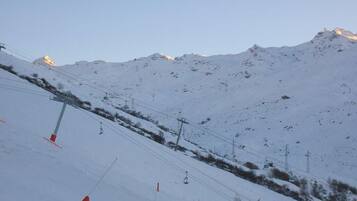 Sneeuw- en skisporten