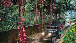Unclassified image, 5 of 69, button - Kuruva Island Resort And Spa (Mananthavady)