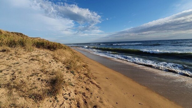 A beach with sand and dunes, and the ocean in the background.