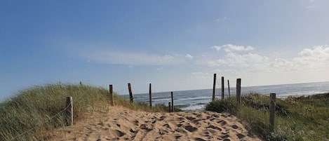 On the beach