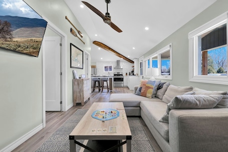 Smart TV, fireplace, books, stereo