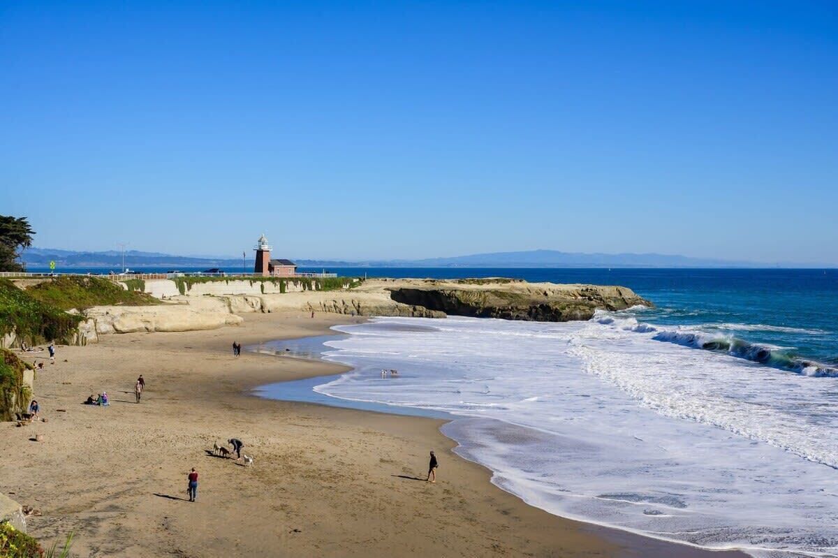 ビーチ