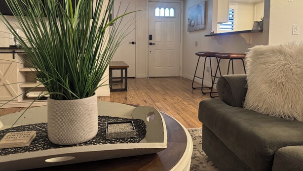 Ein Wohnzimmer mit Blumentopf, grauem Sofa, kleinem Tisch und weißer Tür.
