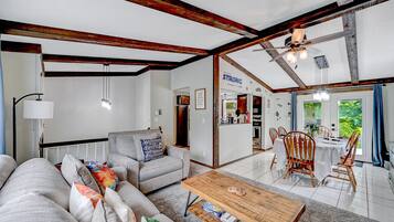 Smart TV, fireplace, books