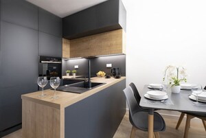 Full-size fridge, oven, stovetop, electric kettle