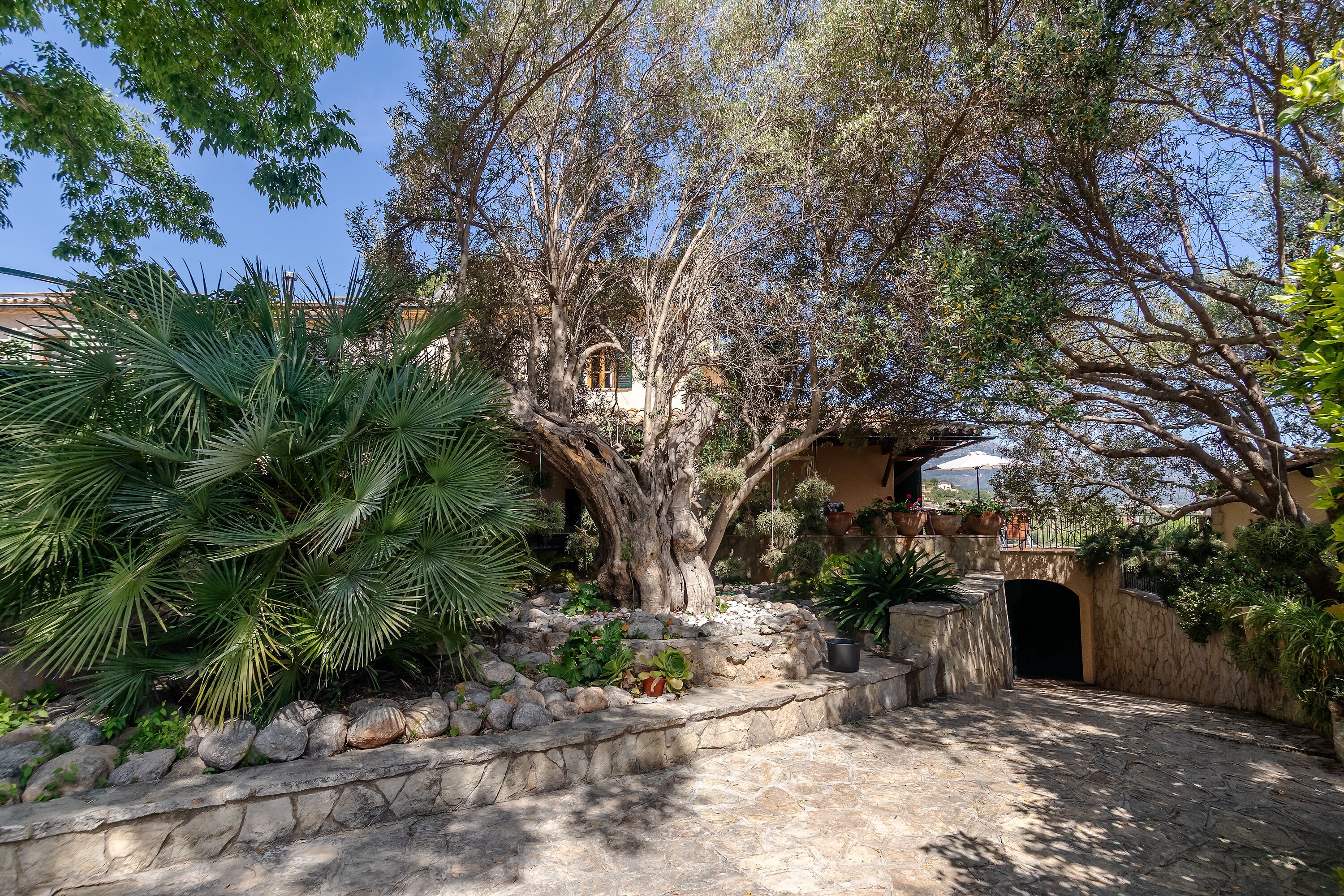 Terrein van de accommodatie