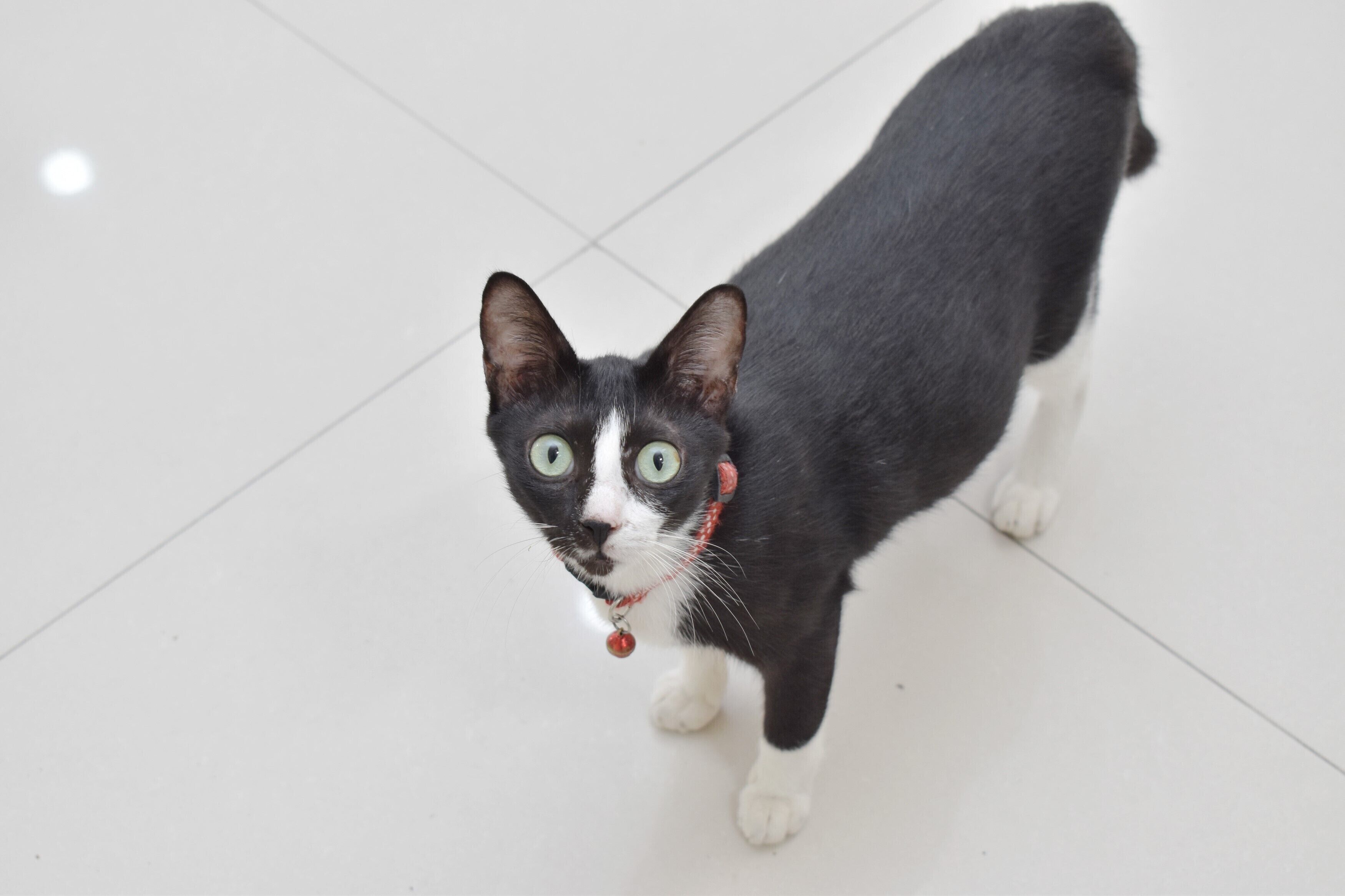 Foto - Homestay 82 Syariah Palembang