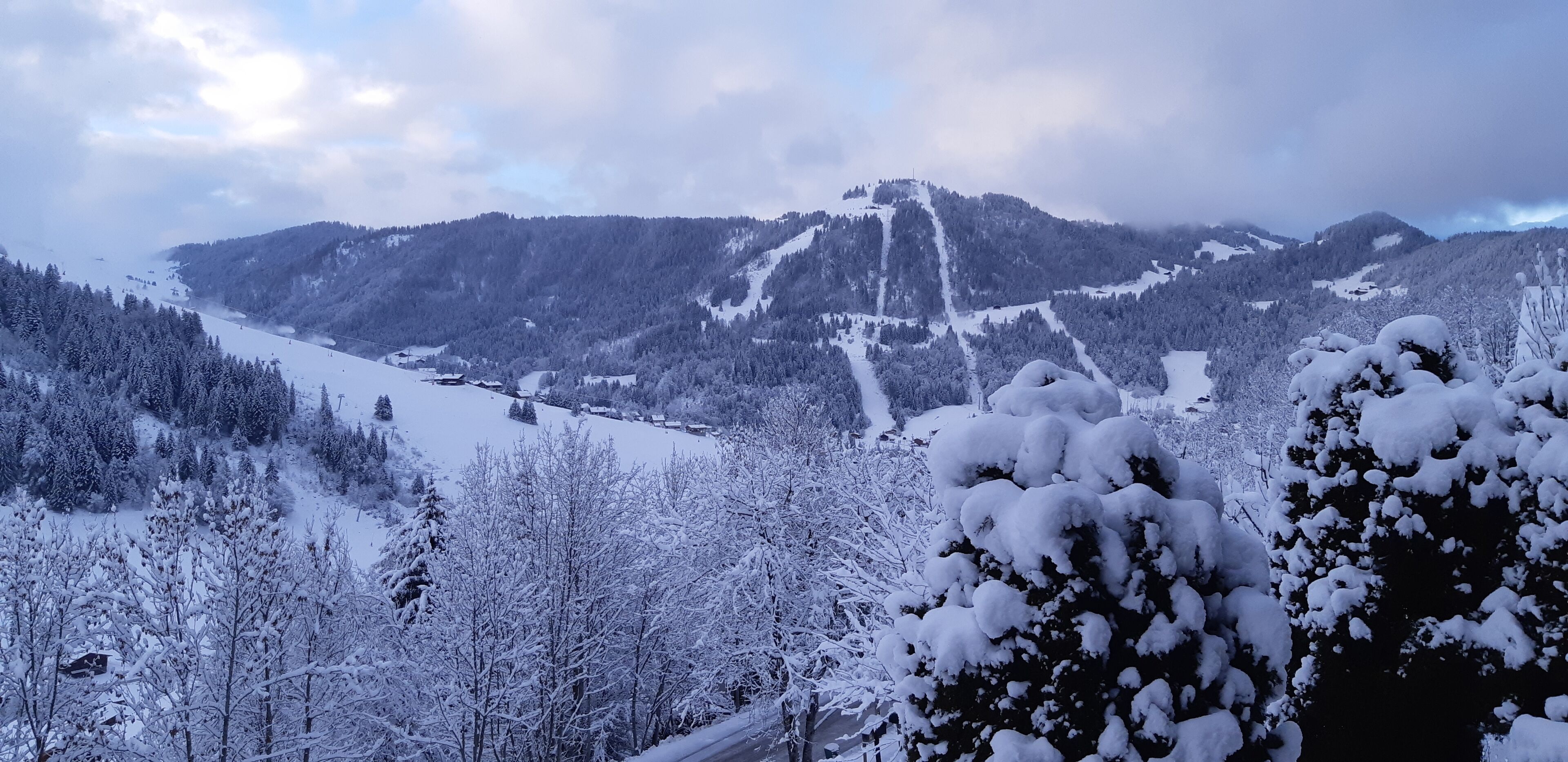 Eine verschneite Berglandschaft mit Skipiste und bewaldeten Gebieten.