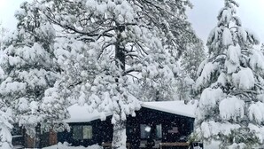 Eine Hütte mit schneebedecktem Dach, umgeben von Bäumen und einer verschneiten Landschaft.