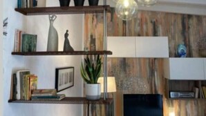A modern living room with a flat-screen TV, bookshelves, a coffee table, and a potted plant. - DOMUS TUSCIA APARTMENTS Via Estrema 2 (Viterbo)