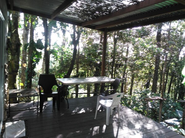 Classic Cabin | Terrace/patio