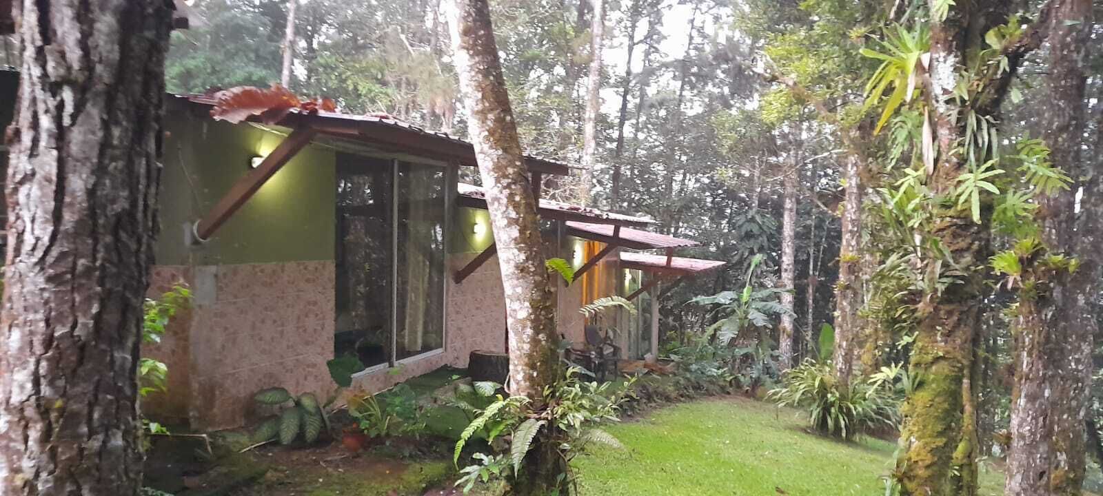 Panoramic-Ferienhütte | Terrasse/Patio