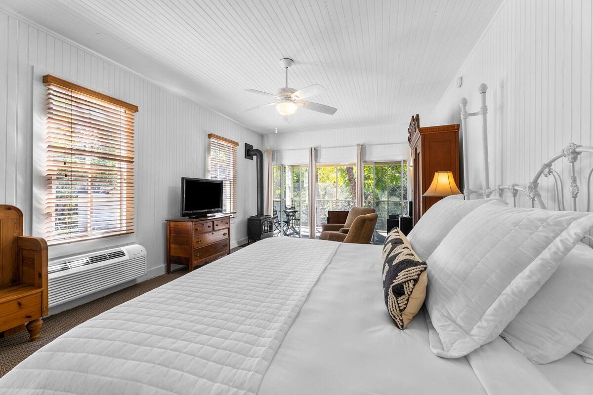 A bedroom with a large bed, a ceiling fan, a TV, a heater, and a view of the outdoors.