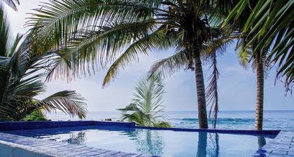 Luxury Oceanfront Villa: Private Pools, BBQ! Your Perfect Getaway!