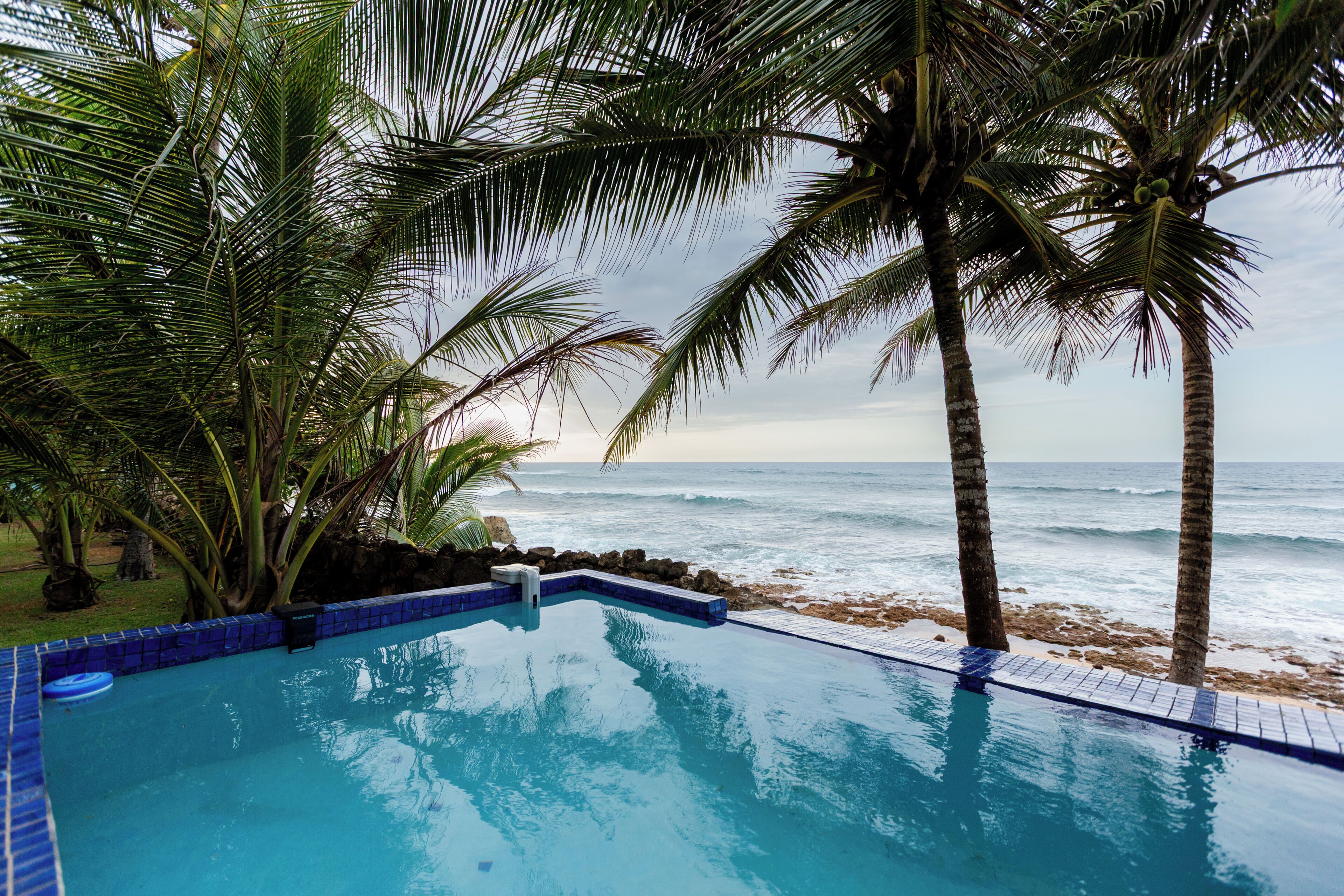 Una piscina con vista al océano y palmeras.