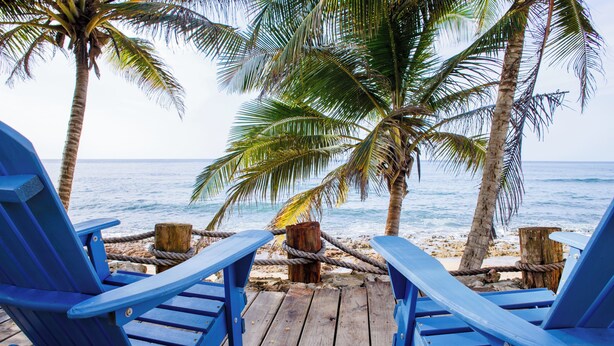 A wooden deck with two blue chairs facing the ocean, surrounded by palm trees. - Luxury Oceanfront Villa Vega Baja: 2 Pools, Waterslide + Tennis/Pickleball court (Vega Baja)