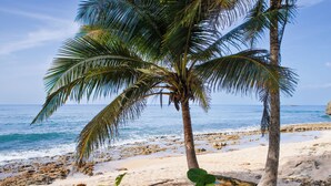 A beach with palm trees and a clear view of the ocean. - Luxury Oceanfront Villa Vega Baja: 2 Pools, Waterslide + Tennis/Pickleball court (Vega Baja)