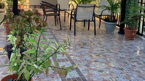 Un porche cubierto con suelo de baldosas, mobiliario exterior y plantas en macetas.