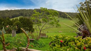 Un paysage verdoyant et luxuriant, avec un banc en bois, un abreuvoir pour oiseaux et une variété de plantes.