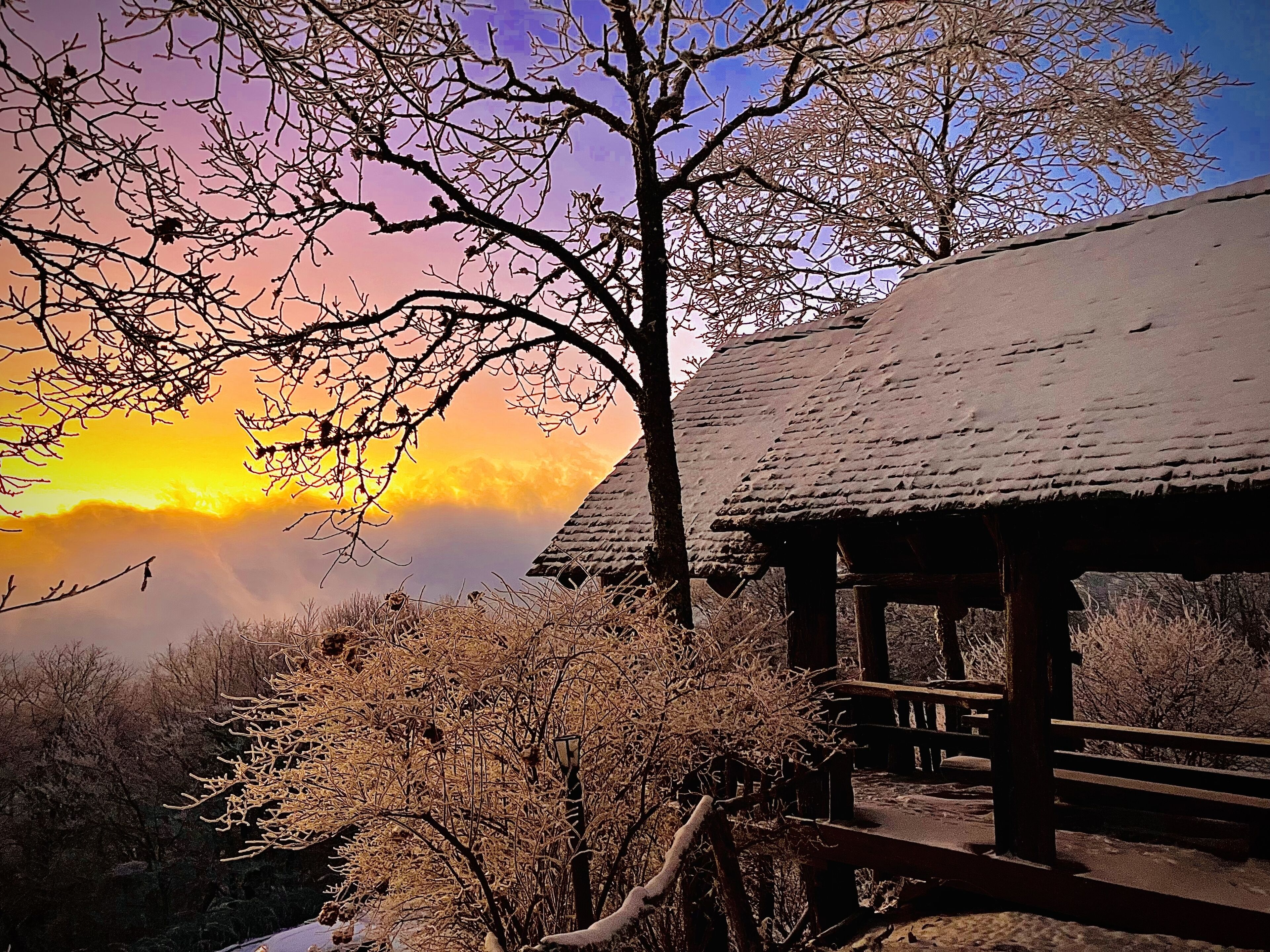 Ein hölzernes Pavillon mit einem Reetdach, umgeben von kahlen Bäumen und Sträuchern, mit Blick auf einen Sonnenuntergang.