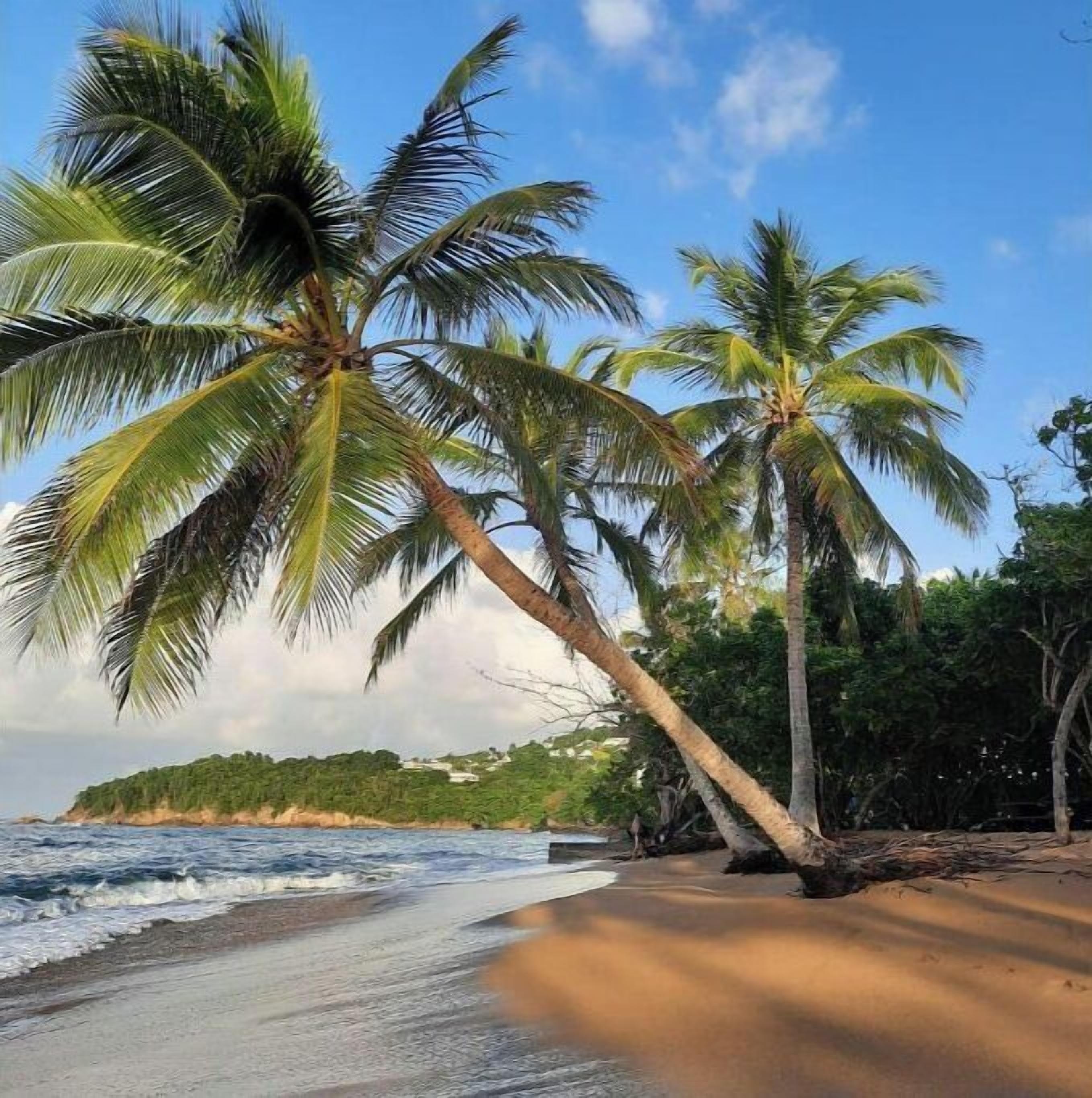 Plage, chaises longues, serviettes de plage