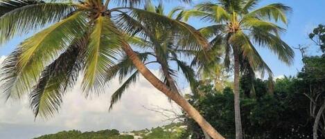 在海滩、沙滩椅、沙滩毛巾