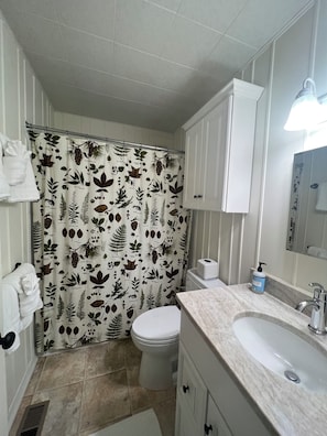 Combined shower/bathtub, hair dryer, towels, soap
