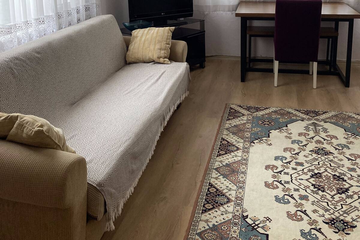 A living room with a sofa, a TV, a desk, and a patterned rug.