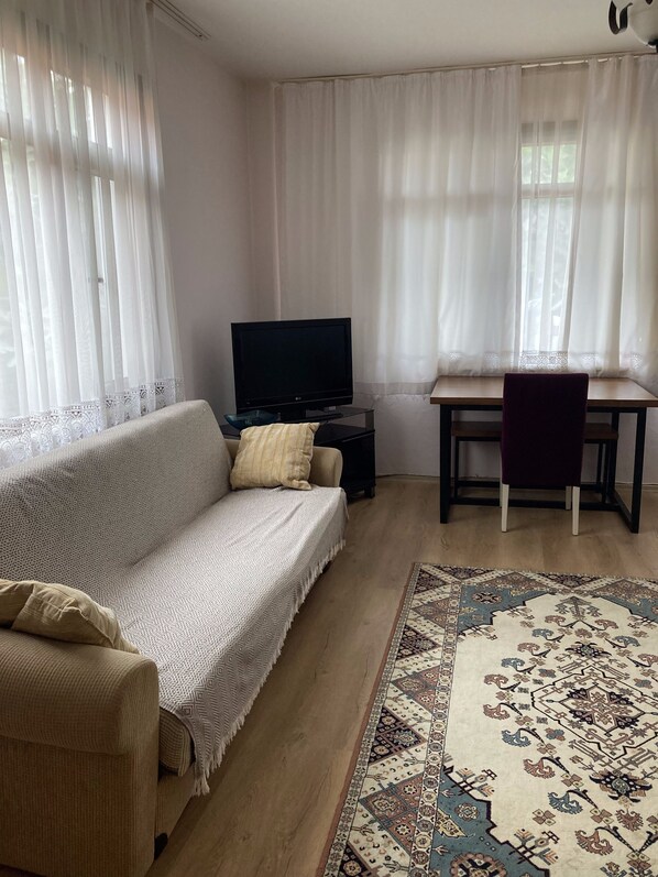 Uma sala de estar com sofá, televisão, escrivaninha e tapete estampado.
