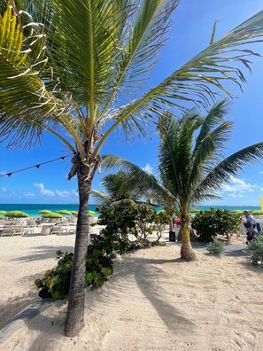 Beach nearby, sun-loungers - WELCOME TO THE INCREDIBLE AND ATTRACTIVE ORIENT BAY (SAINT MARTIN)